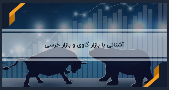 انواع بازارهای مالی در تحلیل تکنیکال (گاوها و خرس ها) | بیدارز 