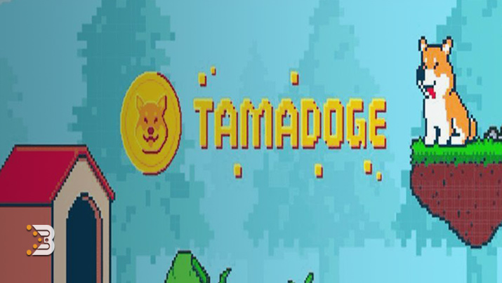 تصویر بازی تامادوج، بازی هایی که ارز دیجیتال میدهند