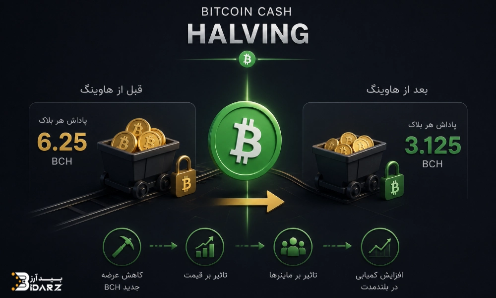 هاوینگ بیت کوین کش و تاثیرات آن